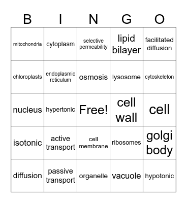 Cells Bingo Card