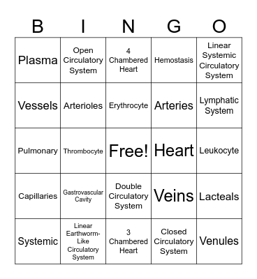 Circulatory System Bingo Card