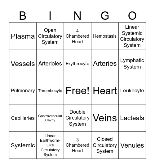 Circulatory System Bingo Card