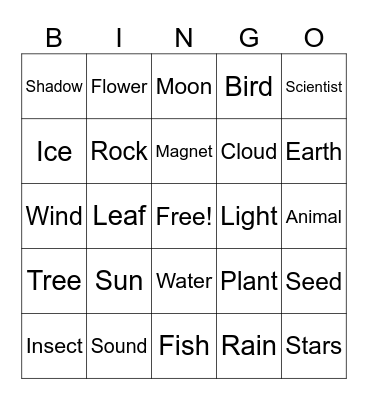 Second Grade Scientist Bingo Card
