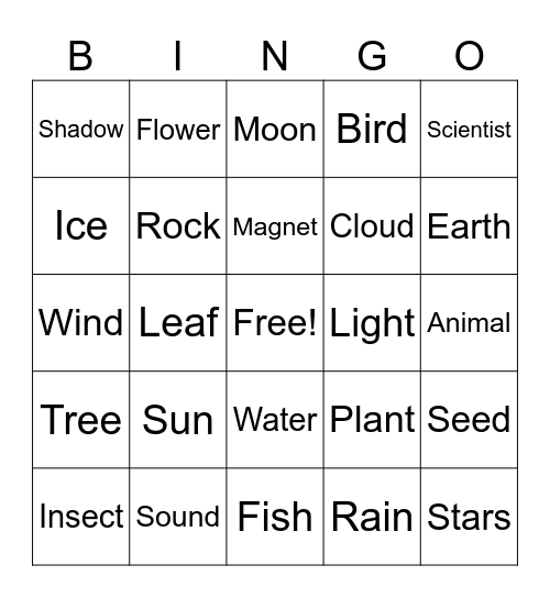 Second Grade Scientist Bingo Card