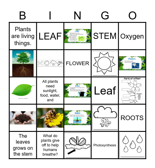 Plant Parts and What Plants Need To Grow Bingo Card