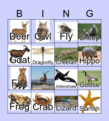 Animals Bingo Card