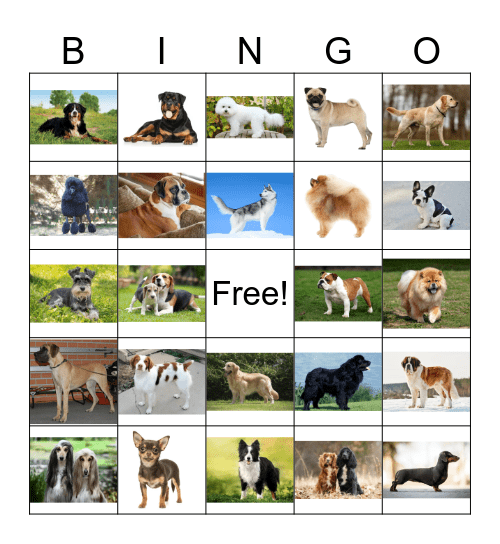 Dog Bingo Card
