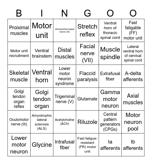 Lower Motor Neuron Bingo Card