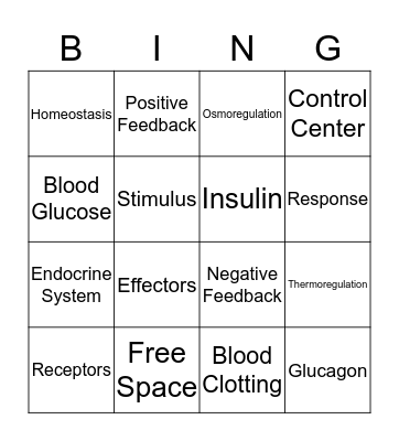 Homeostatic Mechanisms Bingo Card