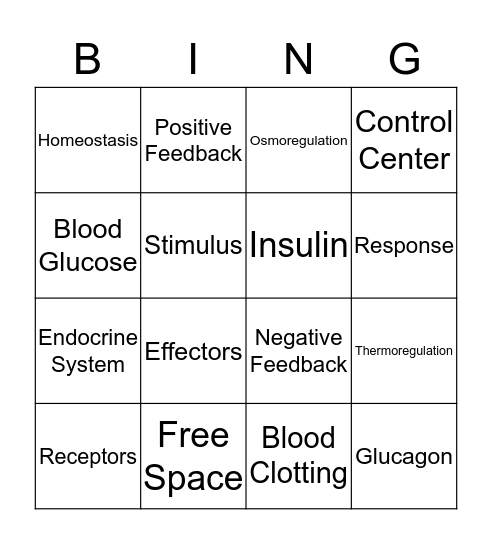 Homeostatic Mechanisms Bingo Card