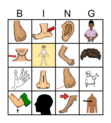 BODY PARTS: English Bingo Card