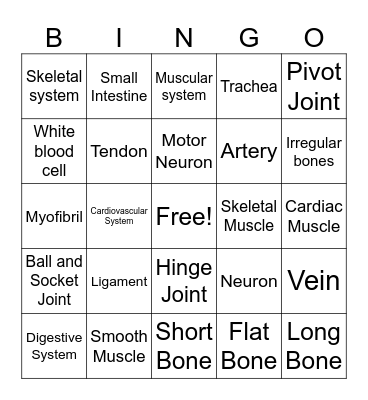 Body Systems Bingo Card