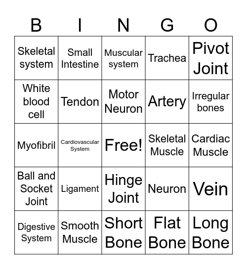 Body Systems Bingo Card