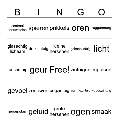 Waarneming en regeling Bingo Card