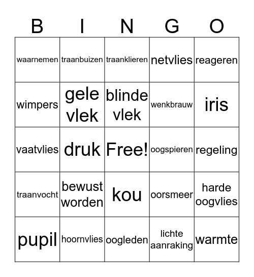 Waarneming en regeling Bingo Card