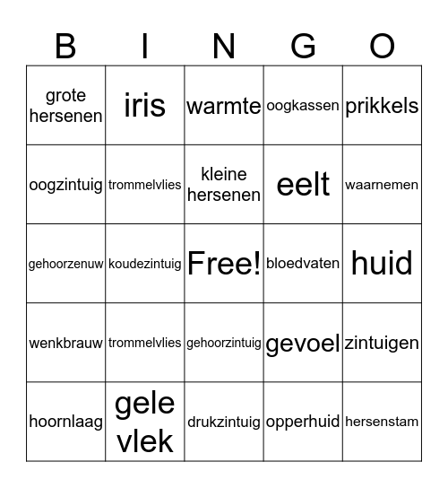 Waarneming en regeling Bingo Card