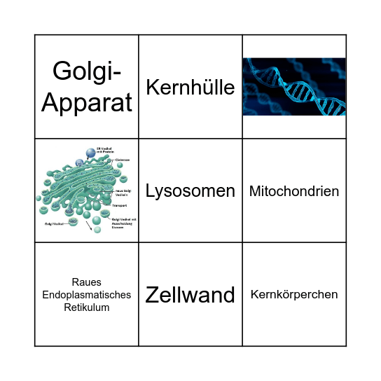 Zellbiologie Bingo Card