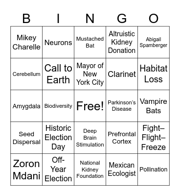 CNN 10 11/6/25 Bingo Card