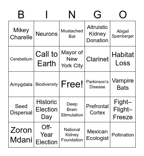 CNN 10 11/6/25 Bingo Card