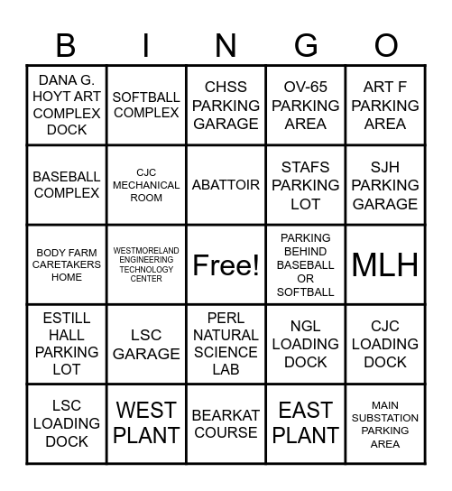 Where's Steve Hiding This Quarter?! Bingo Card