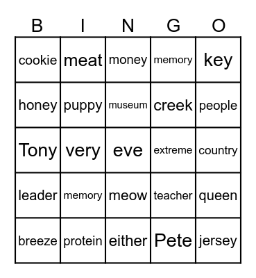 Long e: e, e-e. ee, ea, y, ei, ie, ey Bingo Card