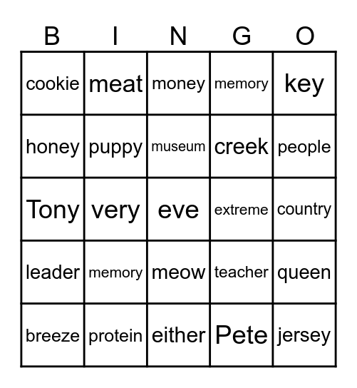 Long e: e, e-e. ee, ea, y, ei, ie, ey Bingo Card
