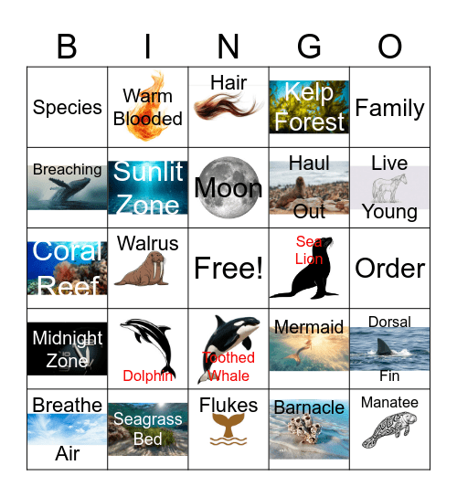 Zoology 2 Bingo Card
