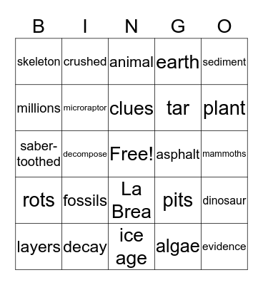 evolution/extinction Bingo Card
