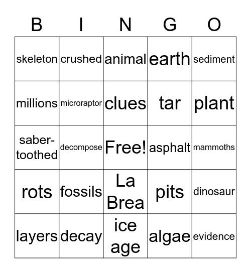 evolution/extinction Bingo Card