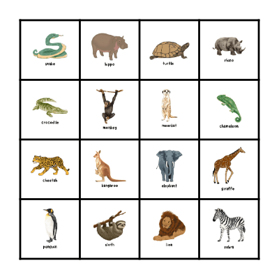 zoo animals BINGO Card