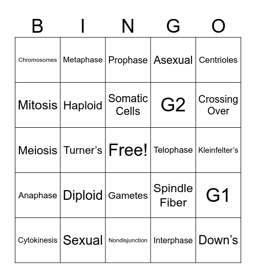 Unit 6 Bingo Card