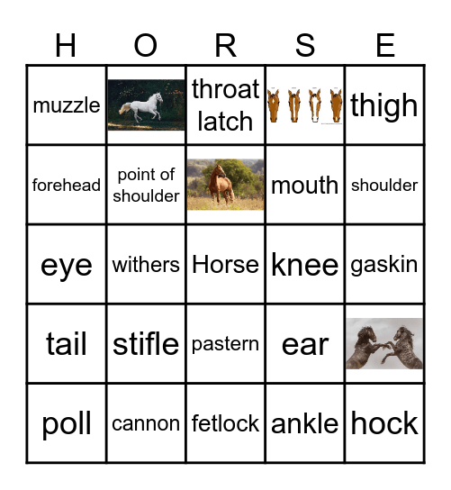 ALL ABOUT Bingo Card