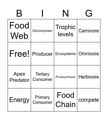 Food Chains and Food Webs Bingo Card