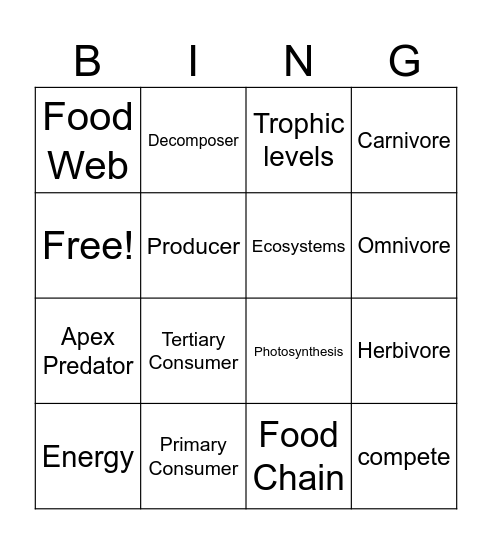 Food Chains and Food Webs Bingo Card