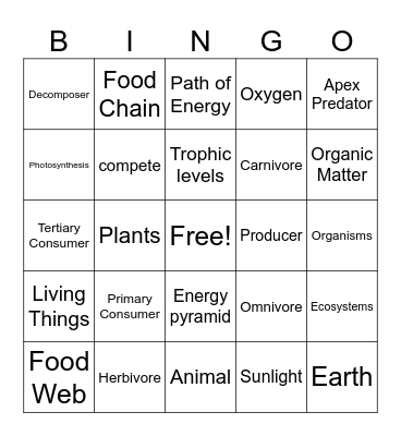 Food Chains and Food Webs Bingo Card