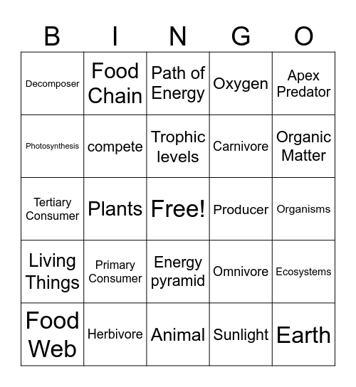 Food Chains and Food Webs Bingo Card