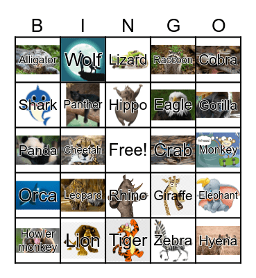 Wild animals Bingo Card