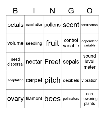Year 5 BINGO!!! Bingo Card