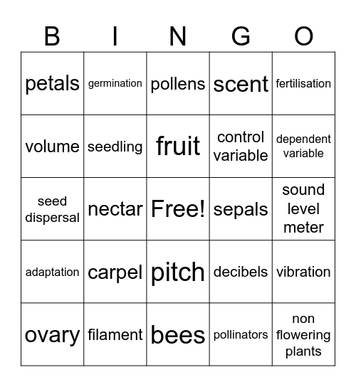 Year 5 BINGO!!! Bingo Card
