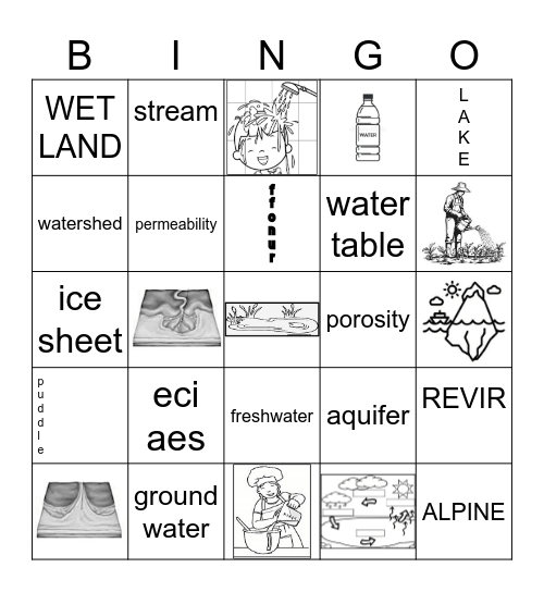 FRESHWATER Bingo Card