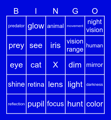 Why do cats’ eyes shine in the dark? Bingo Card