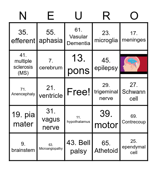 Neurology Test Review - NEURO! Bingo Card
