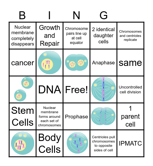 Mitosis Bingo Card