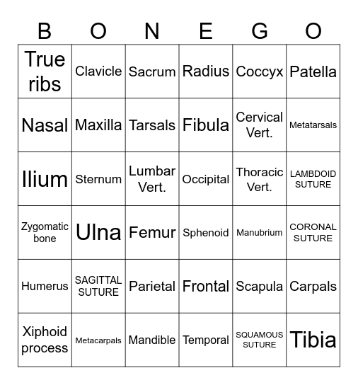 BONEgo! Bingo Card