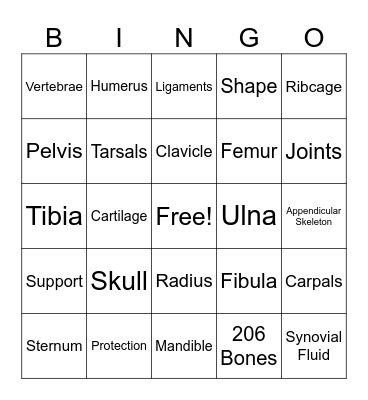 Skeletal System Bingo Card