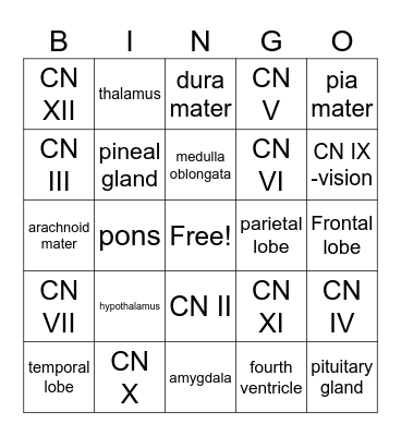 Brain Bingo Card