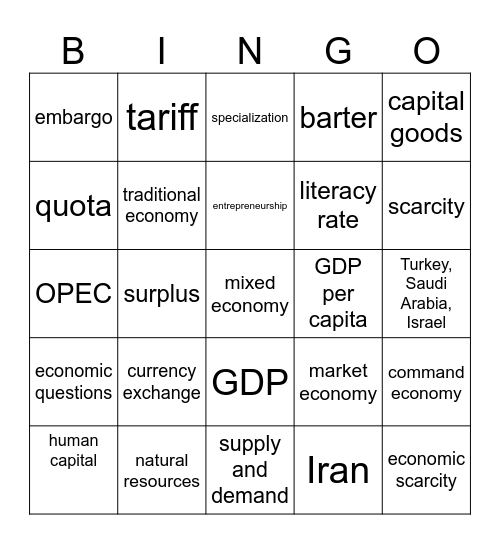 Economics of SW Asia Bingo Card