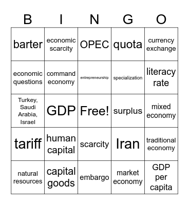 Economics of SW Asia Bingo Card