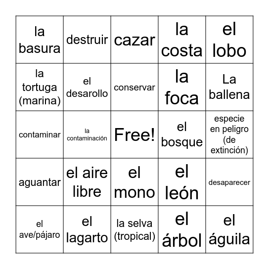 Lección 5 Bingo Card