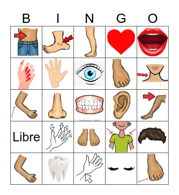 El CUERPO Bingo Card