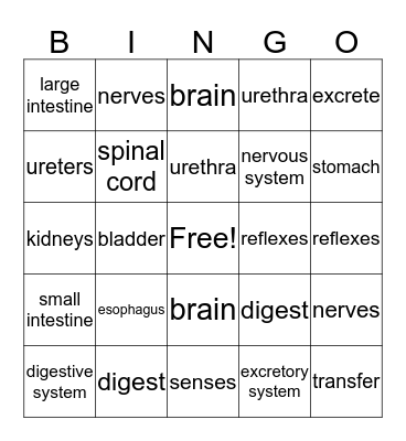 Science Trivia  Bingo Card