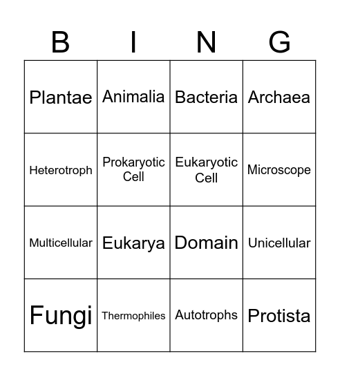 Domains and Kingdoms Bingo Card