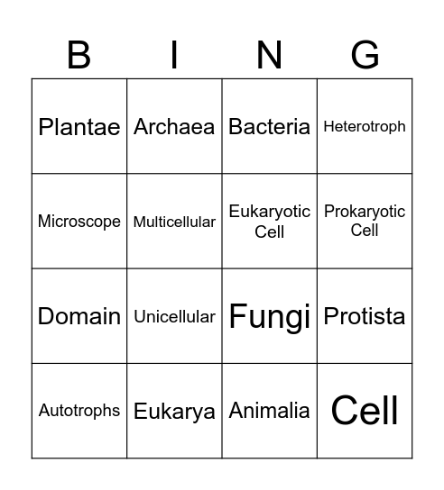 Domains and Kingdoms Bingo Card